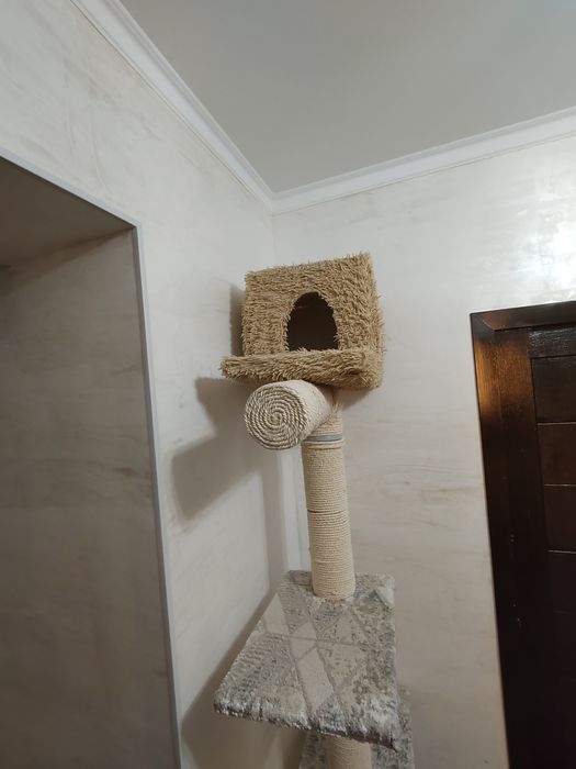 Когтеточка домик