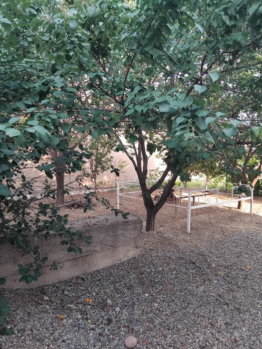 Срочна прадаёция саноат махалла 3 сотих 10х30