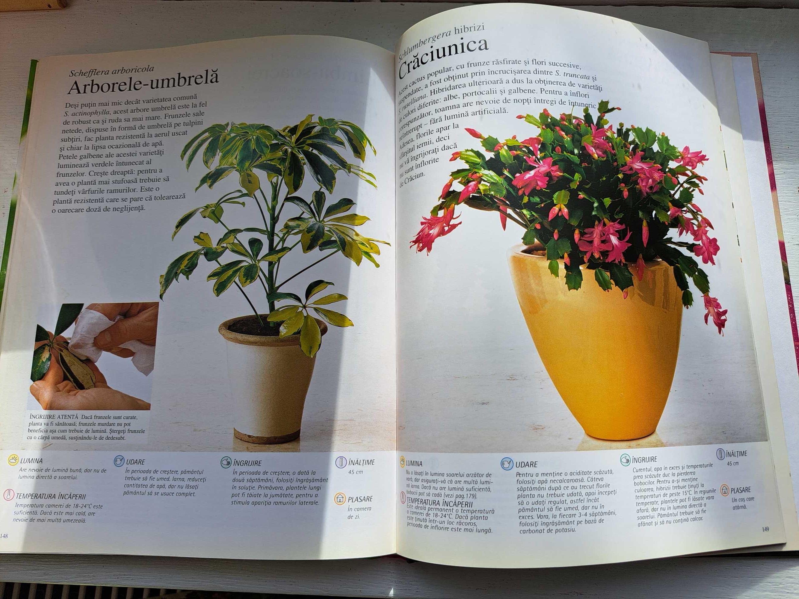 Gradini si plante de interior Enciclopedia Truffaut Larousse