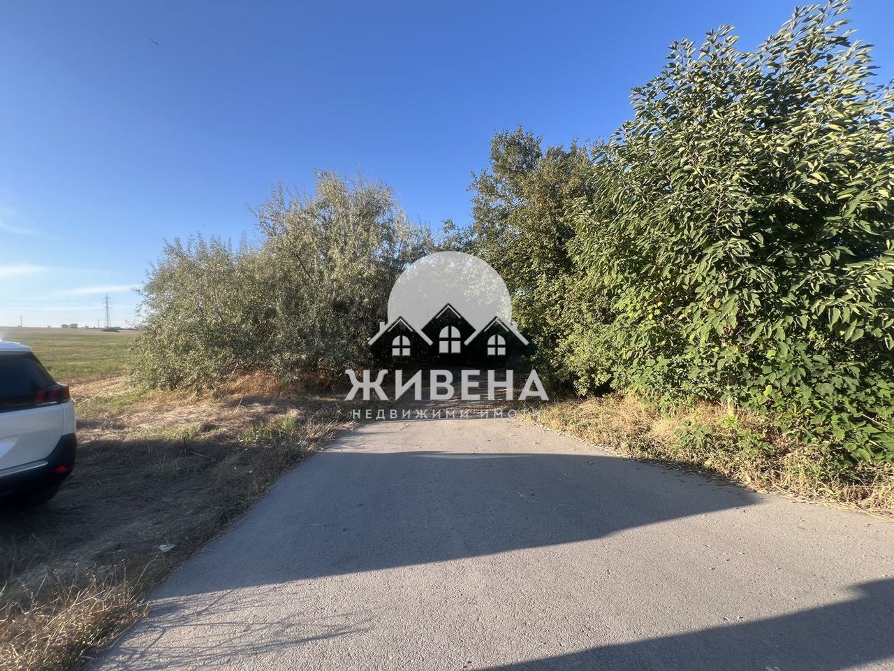 Продава се Парцел в с. Езерово, Област Варна - 8506 кв.м за 21 €/кв.м - Снимка #3