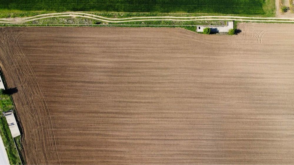 Продава се Парцел в с. Цалапица, Област Пловдив - 33600 кв.м за 0 €/кв.м - Снимка #6