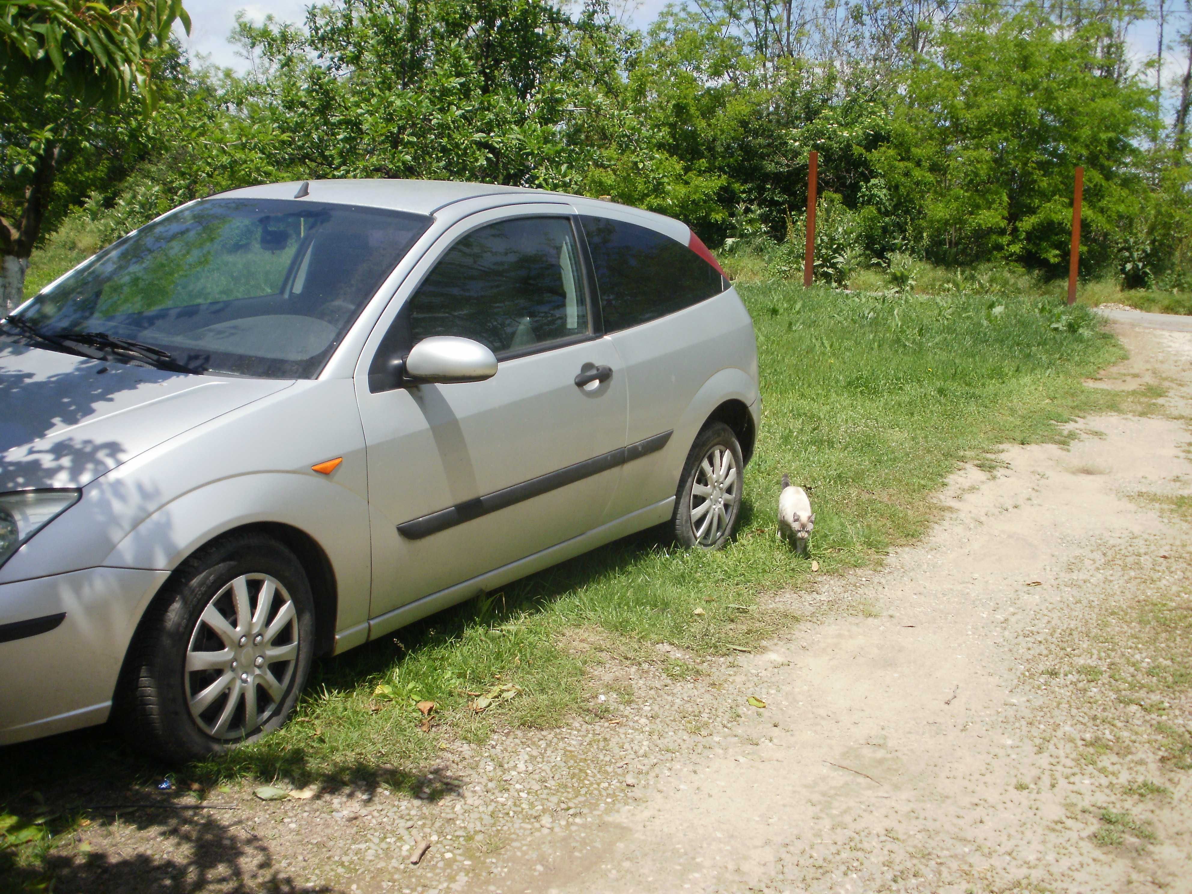 Ford focus benzina
