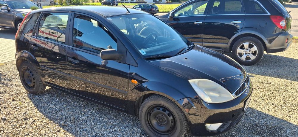 Vand Ford Fiesta