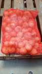 Ceapa  galbena  10 kg