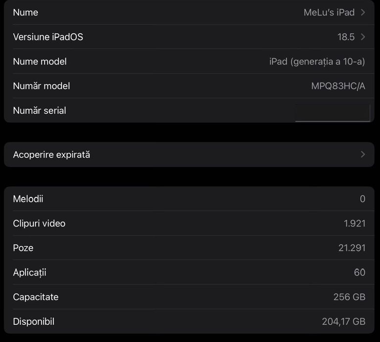 Ipad generatia a 10-a, 256Gb