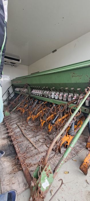 Semanatoare Amazone D7 Super S