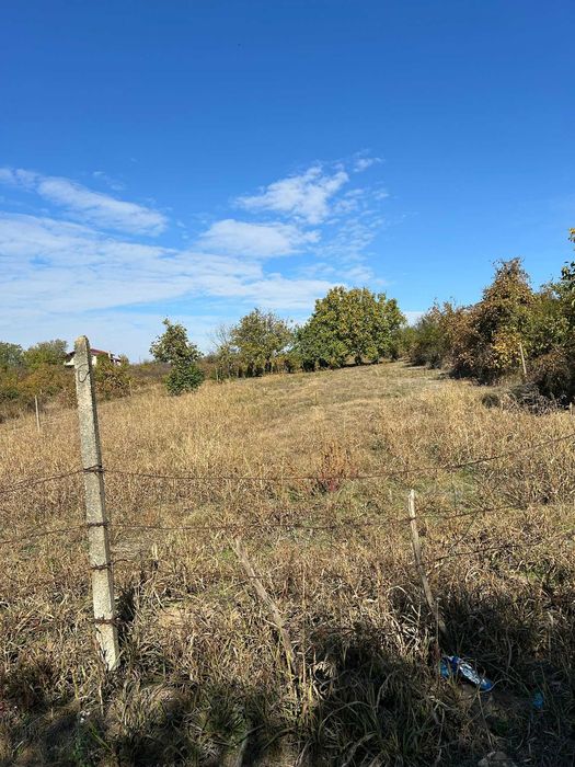 Teren intravilan Carcea - 1300 mp