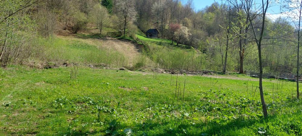 Teren de vanzare+căsuță +pădure