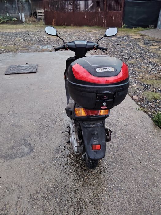 Vind scuter Rex de 50cp