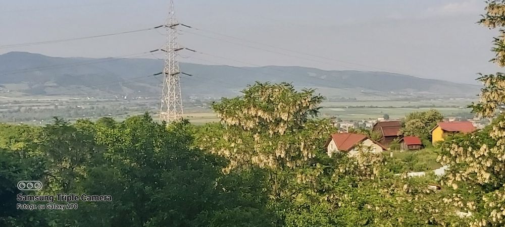 Teren de vanzare