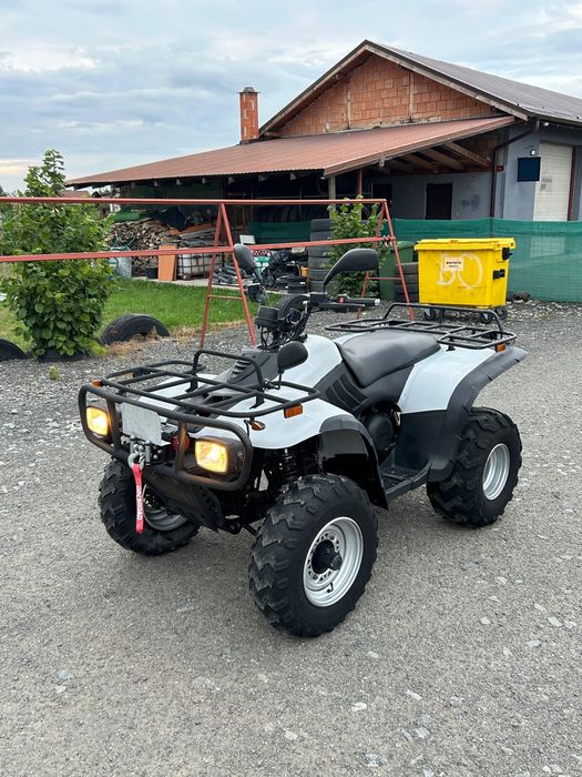 Linhai Explorer 300 2x4 (nu cf moto tgb shineray )