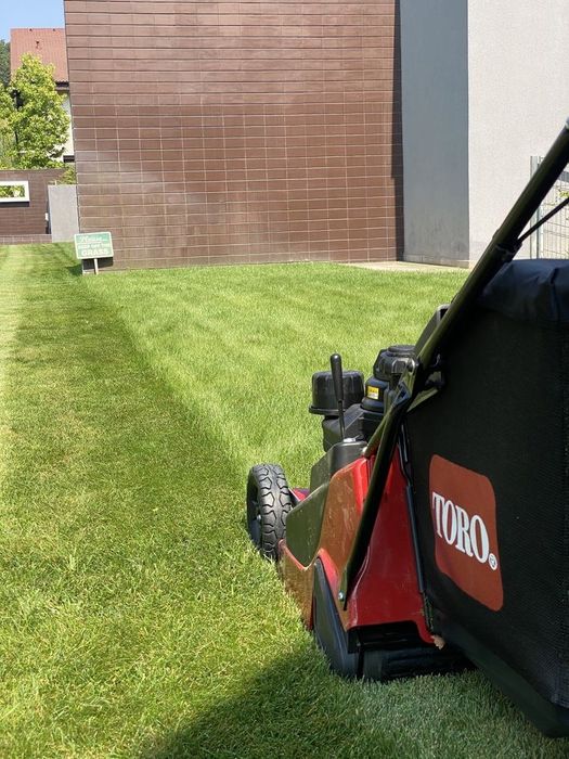 Defrisări/Cosmetizare Copaci/Gard Viu.