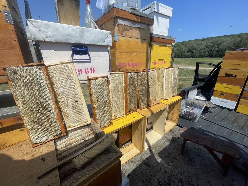 Caturi de 1/2 si rame construite stupi,albine