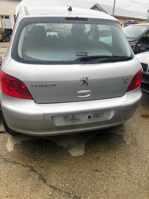 haion peugeot 307