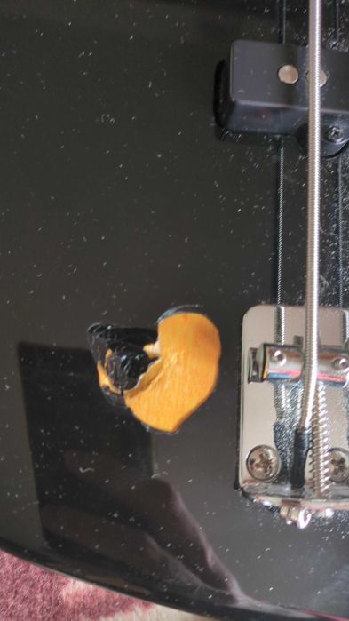 Bass Cort Made in Indonesia