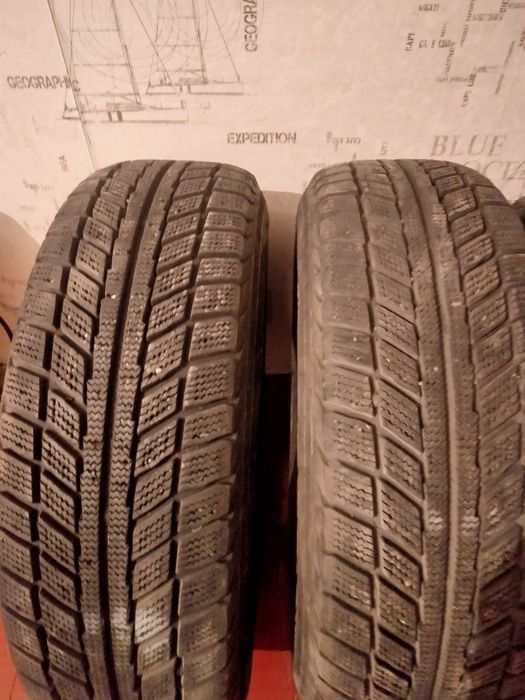 Продам два болона