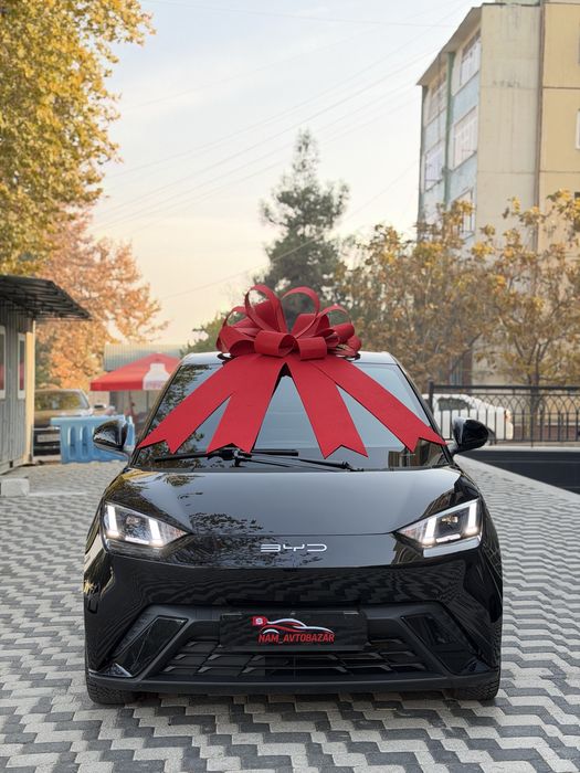 BYD seagull 405km Full