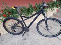 Mountain bike bulls sharptail