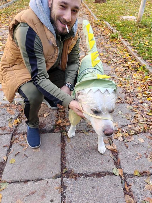 Дъждобран за куче