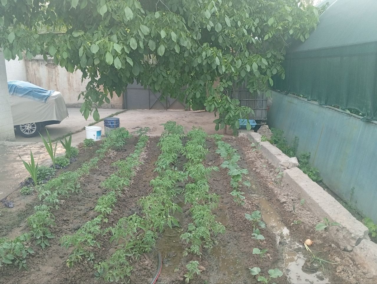 Xovli ijaraga beriladi