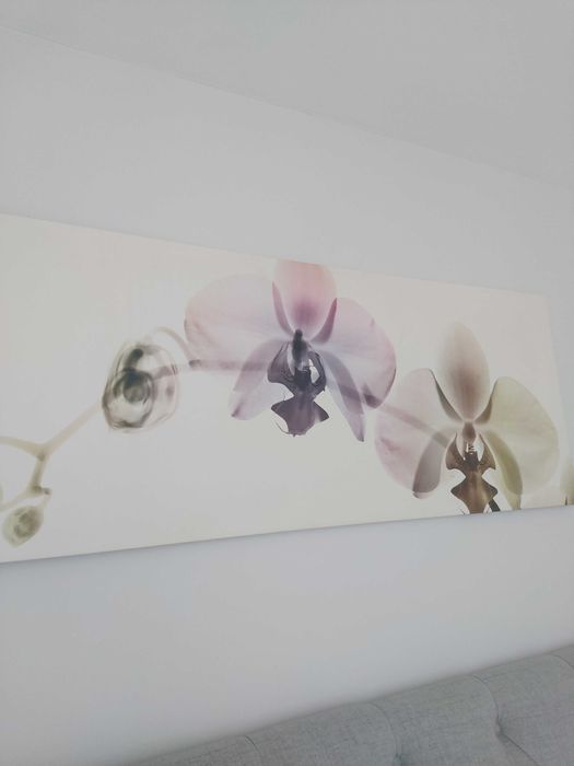 СПЕШНО СЕ ПРОДАВА!Картина за стена от Икеа/Ikea