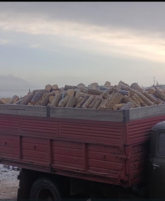 Продам дрова сосна газон