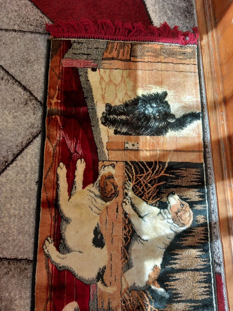 Carpeta cățeii și pisica vitange