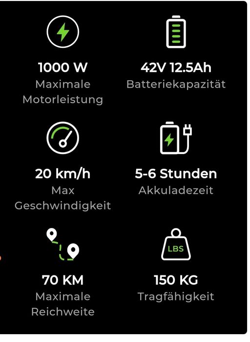 Trotineta electrica adulti Zamelux green T4