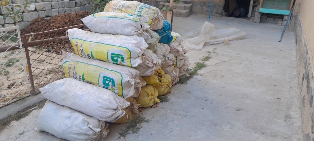 Корамол гунги текинга берилади!