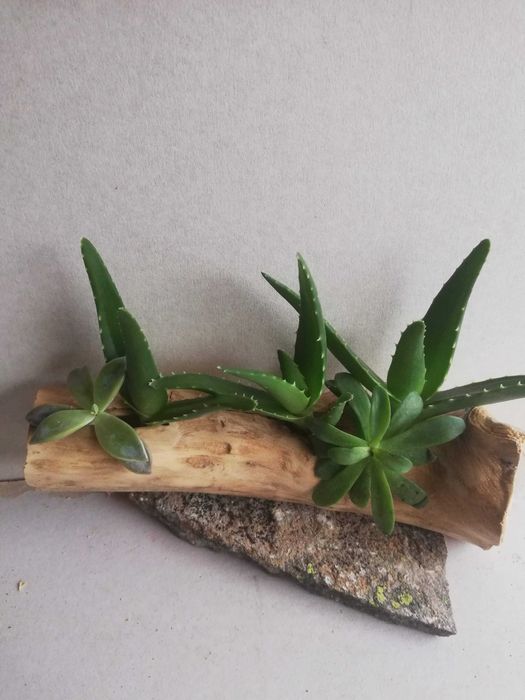 Ръчни дървени саксии