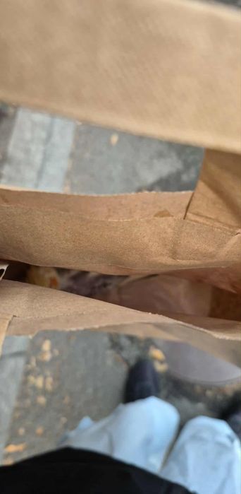 Papagal nimfă găsit pe stradă