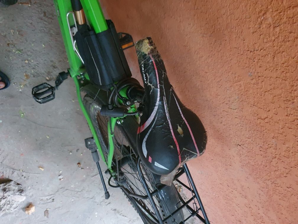 Velik sotiladi 26 razmer