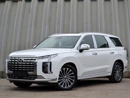Запчасти разбор Hyundai palisade Хендай палисад
