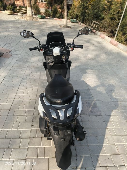 Tiger srochna sotiladi