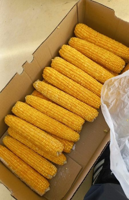 Свежая замороженная кукуруза