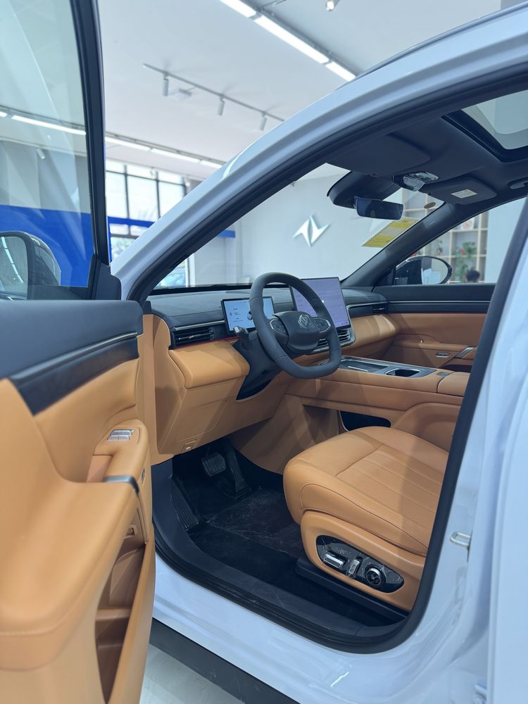 DONGFENG EP008 Hybrid 202km