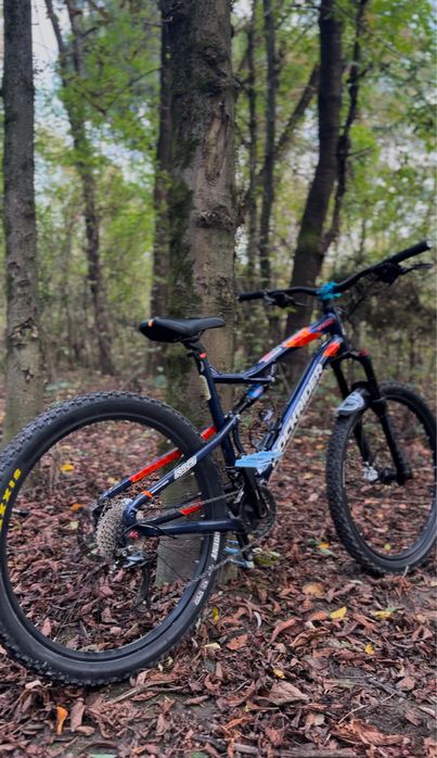 Rockrider 540s Custom