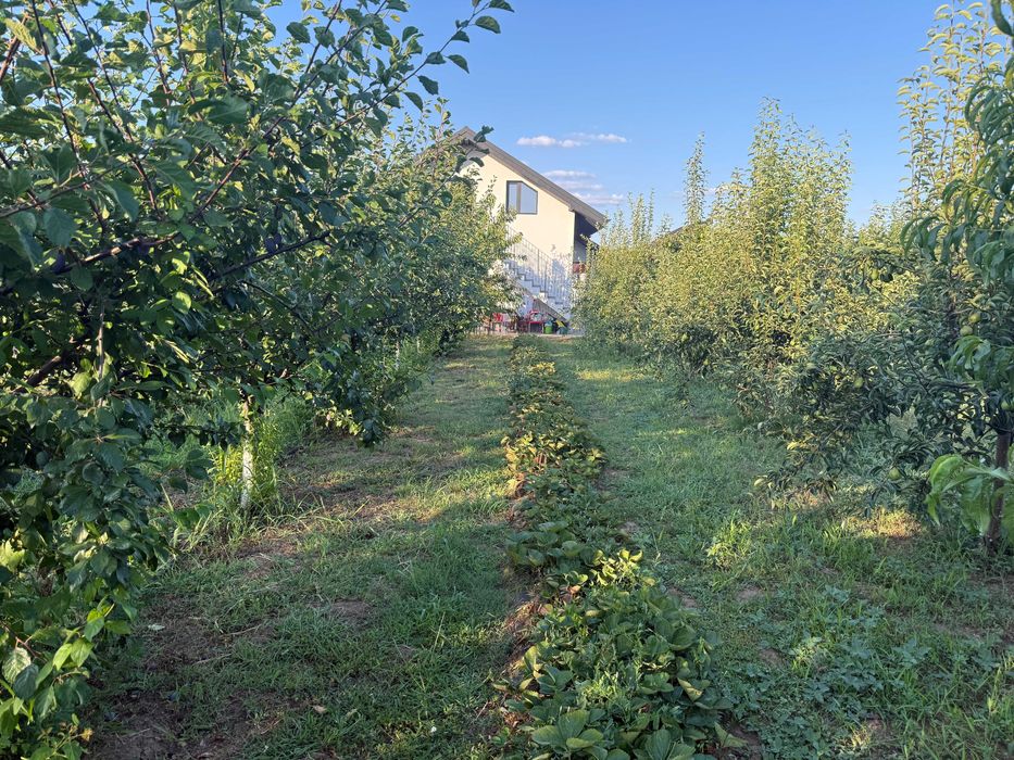 De vanzare Casa din Livada - Moara Vlasiei