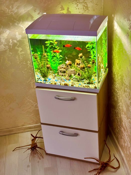 Аквариум 60 литра + шкафчето и рибките