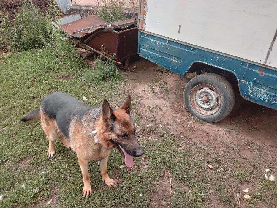 Обмен или продам