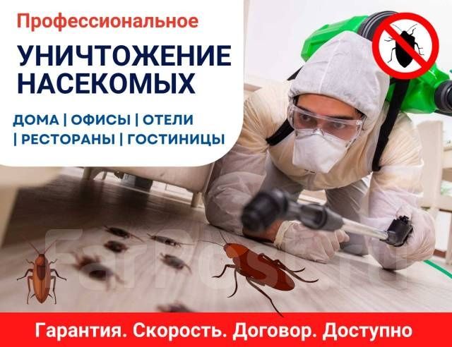 Дезинфекция от тараканов