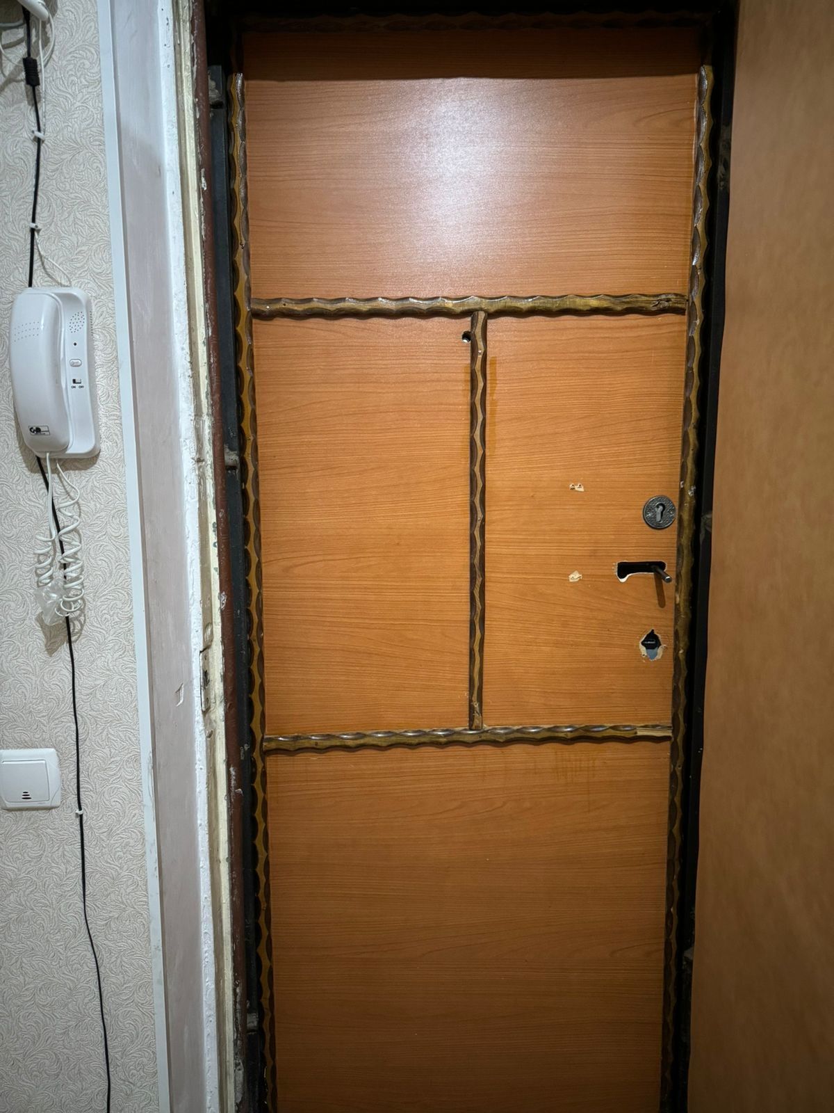Дверь металическая входная