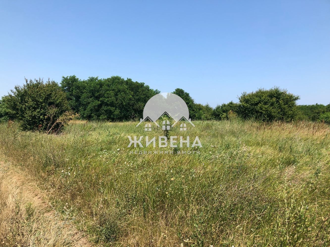 Продавам парцел в с.Камен бряг, площ 2817 кв.м