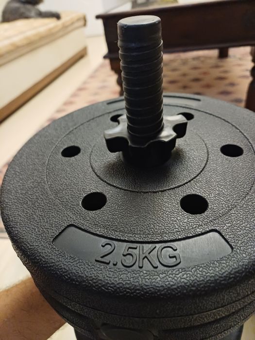 Gantere Reglabile 42kg