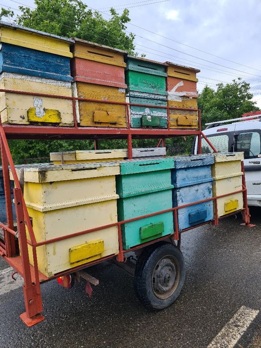 Vand stupina , 16 stupi