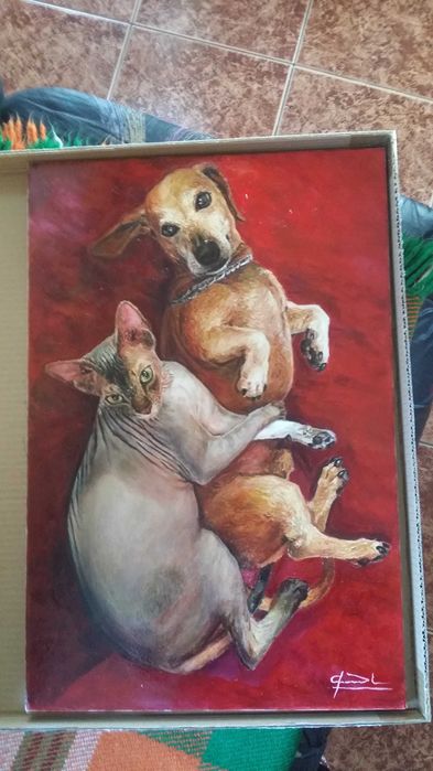 Рисувам картини по поръчка