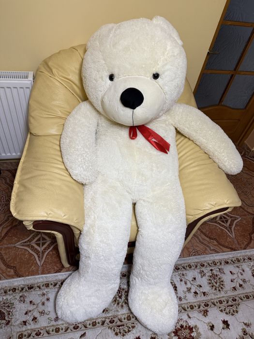 Urs de plus pentru copii de 2 M