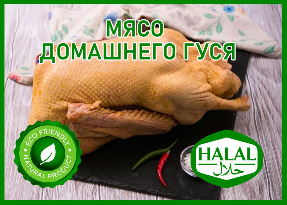 Эко мясо домашнего гуся индюка