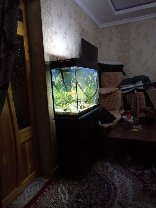 Аквариум 220 литр комплект сотилади