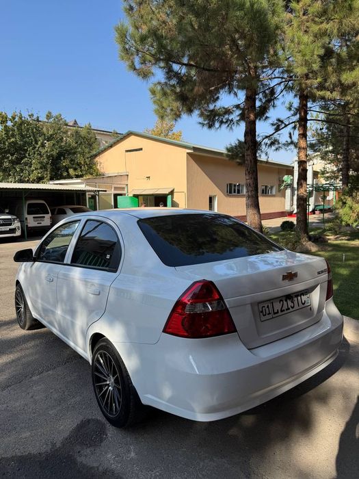 Neksa 3 yili 2019 kraskasi toza sotiladi